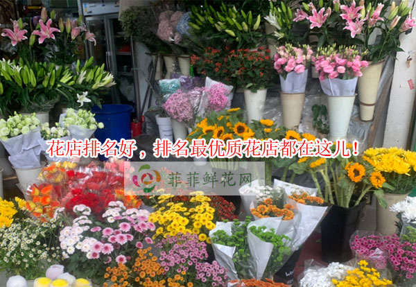 西双版纳景洪市花店排名,西双版纳景洪市最优质花店都在这儿!